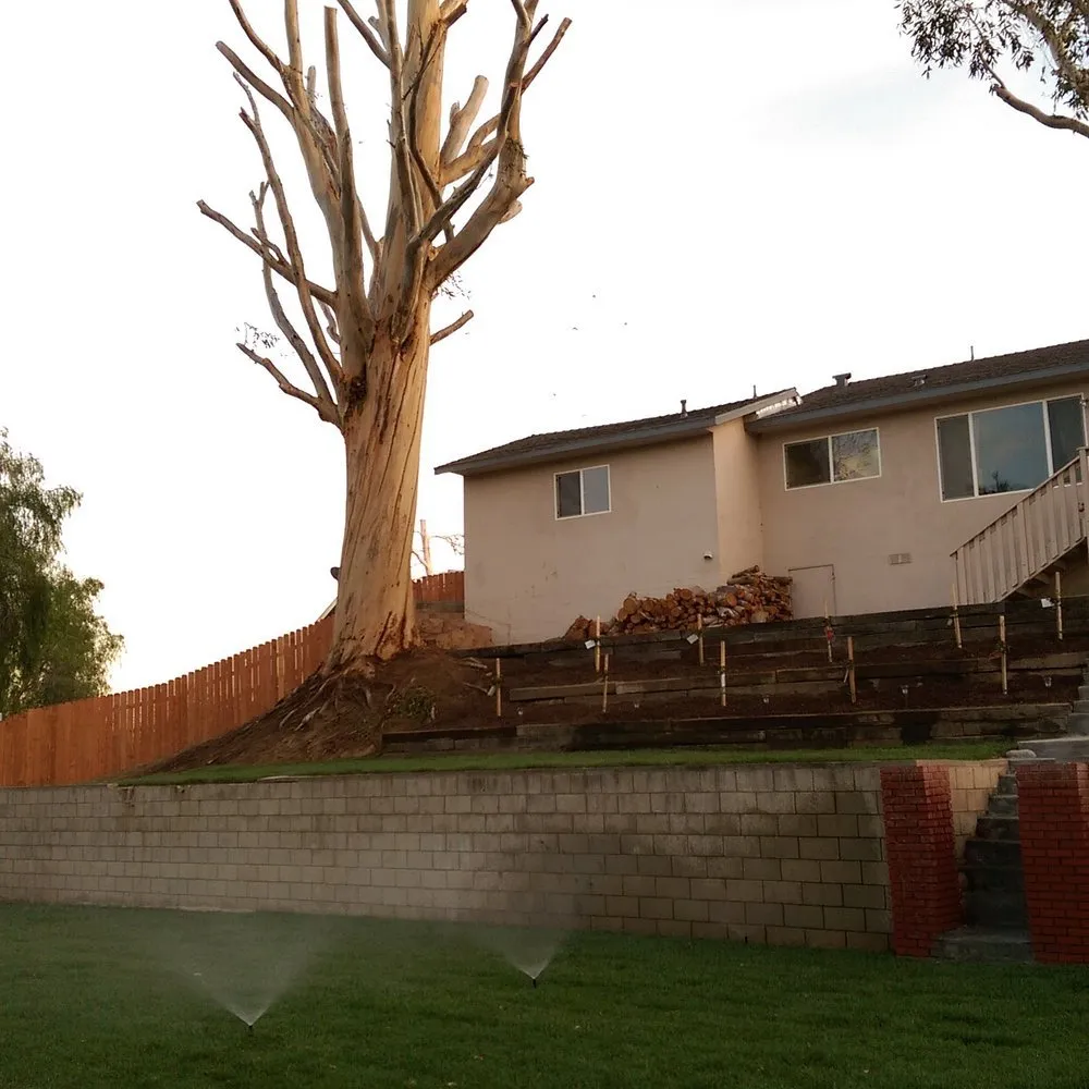 Affordable garden landscaping experts serving Riverside, CA - Andrew Tree Service