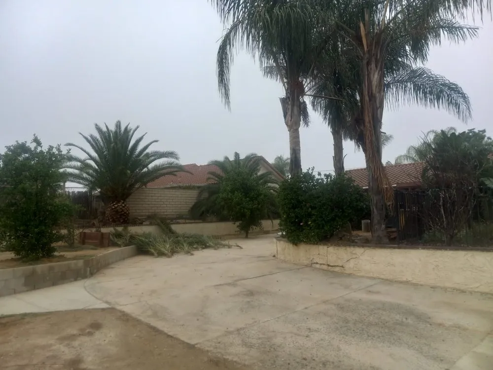 Trusted lawn mowing service experts serving Riverside, CA - Andrew Tree Service