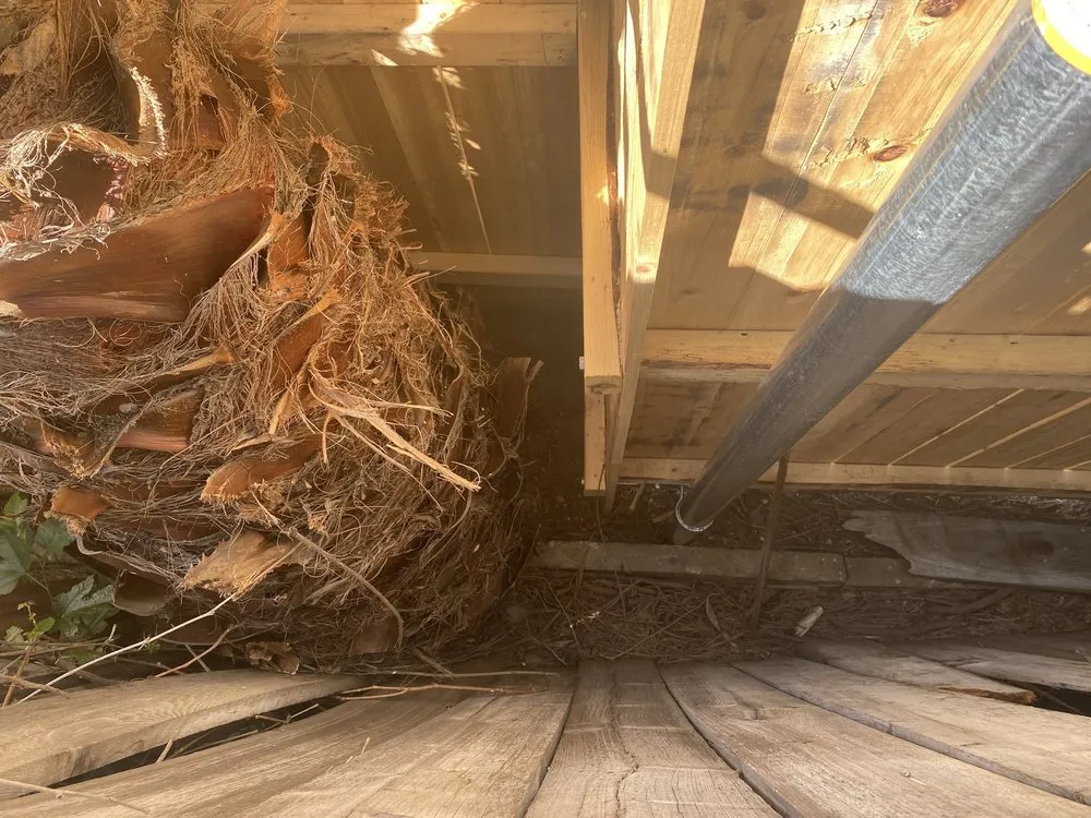 Affordable garden landscaping for year-round maintenance across Riverside, CA - Andrew Tree Service