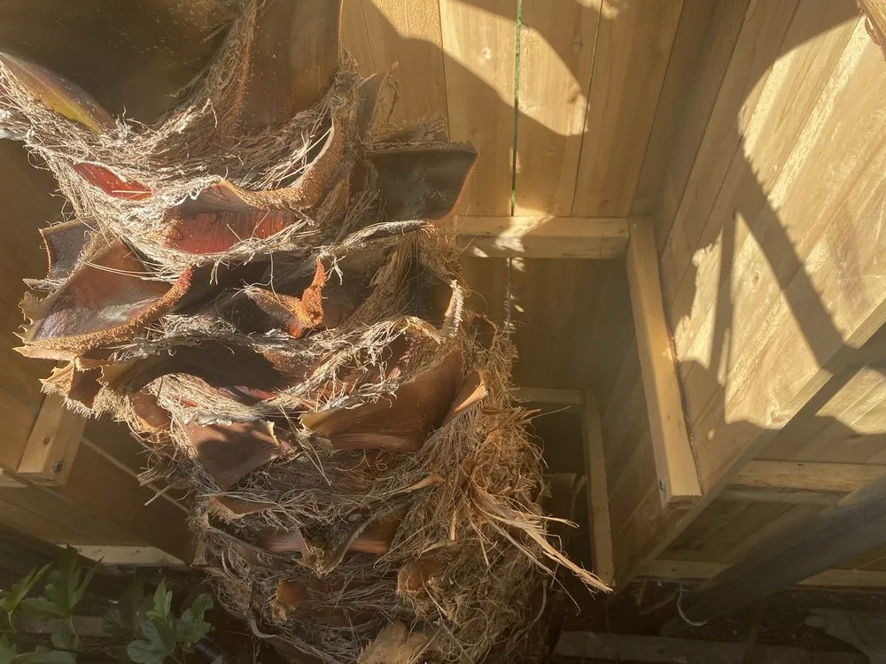 Trusted garden landscaping for year-round maintenance across Riverside, CA - Andrew Tree Service