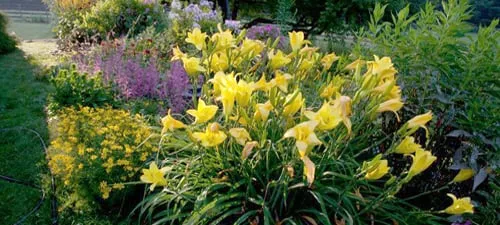 Expert residential landscaping in Stephentown, NY by Andrew Zema's Landscaping