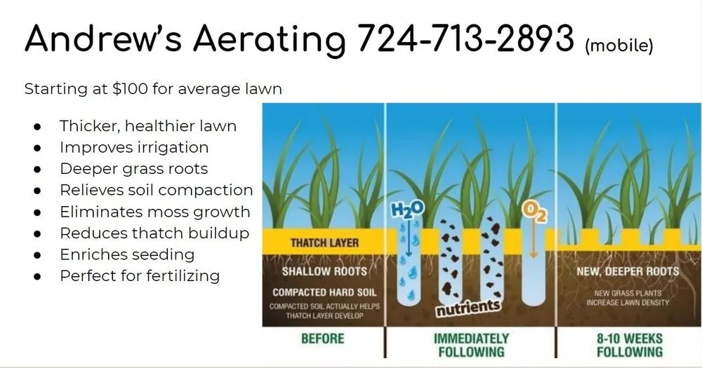 Trusted yard cleanup service experts serving Cranberry Township, PA - Andrew's Aeration