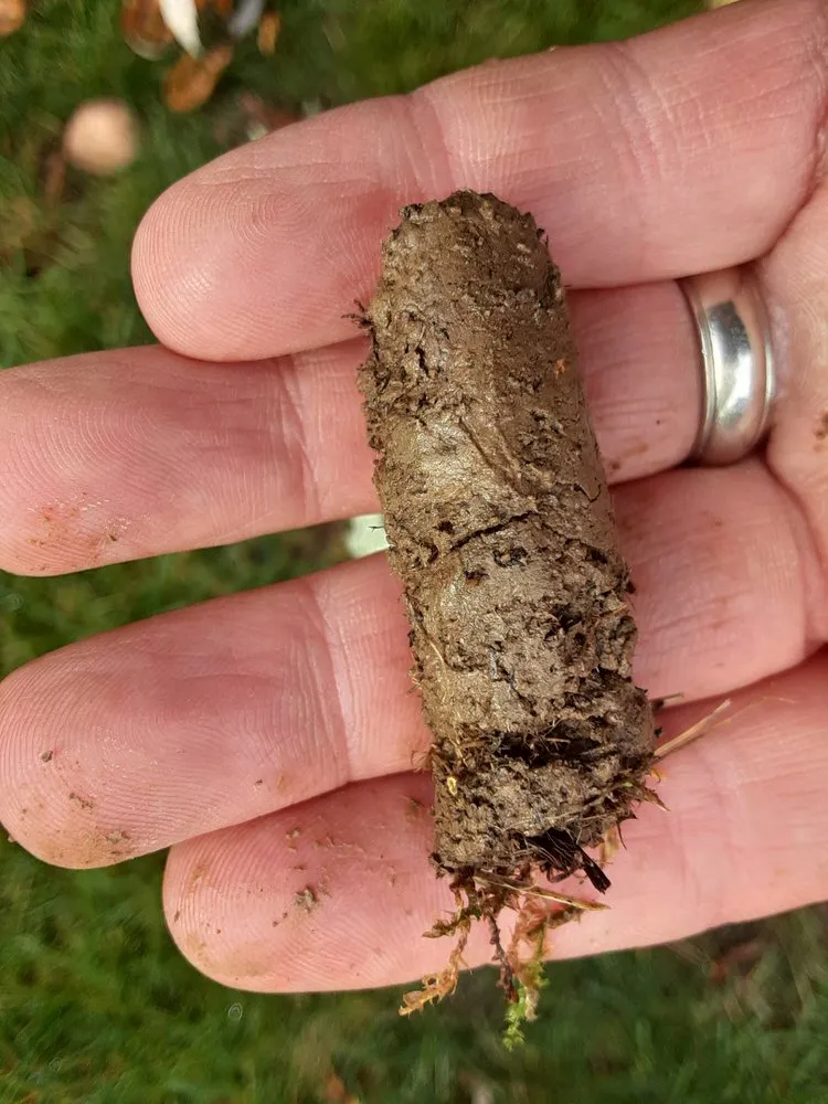 Custom garden landscaping near you in Cranberry Township, PA by Andrew's Aeration