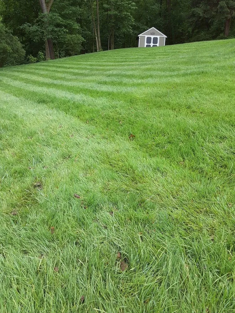 Affordable landscape design for year-round maintenance across Cranberry Township, PA - Andrew's Aeration
