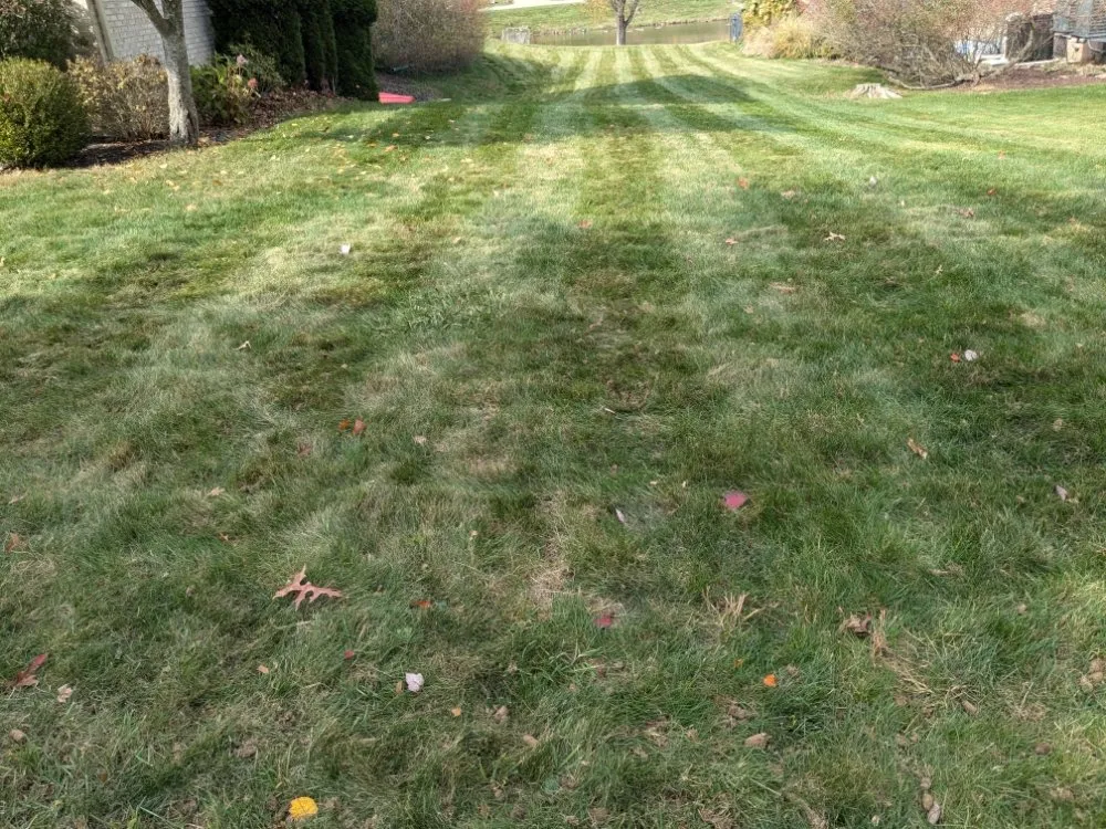Local landscaping services for beautiful yards across Cranberry Township, PA - Andrew's Aeration