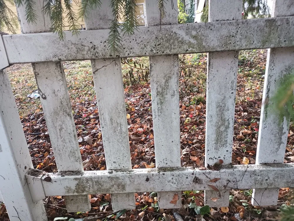 Reliable lawn care service experts serving Toledo, OH - Andrews Construction