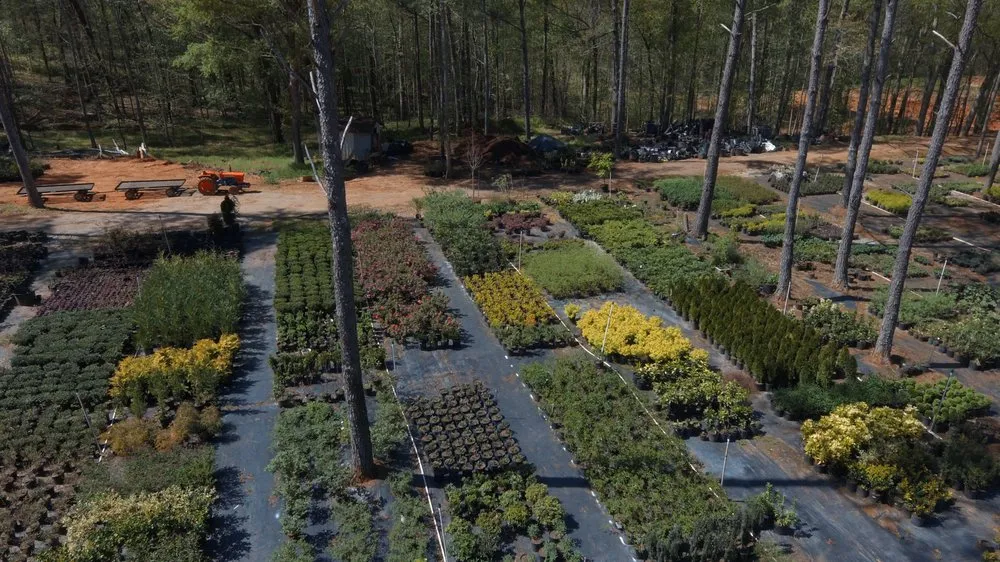 Trusted yard cleanup service with custom design across Arnoldsville, GA - Andrew's Farm & Nursery