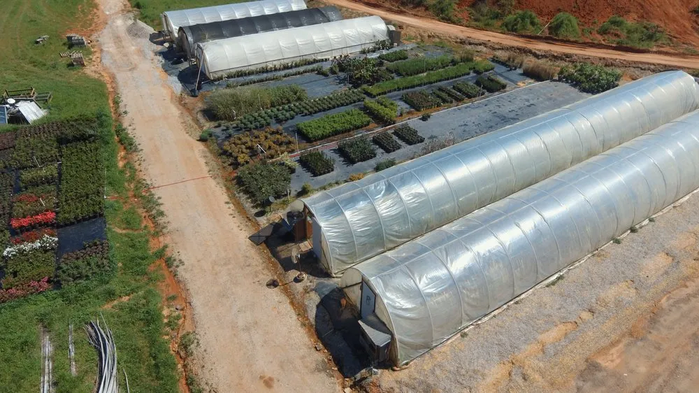 Expert landscape design for year-round maintenance in Arnoldsville, GA by Andrew's Farm & Nursery