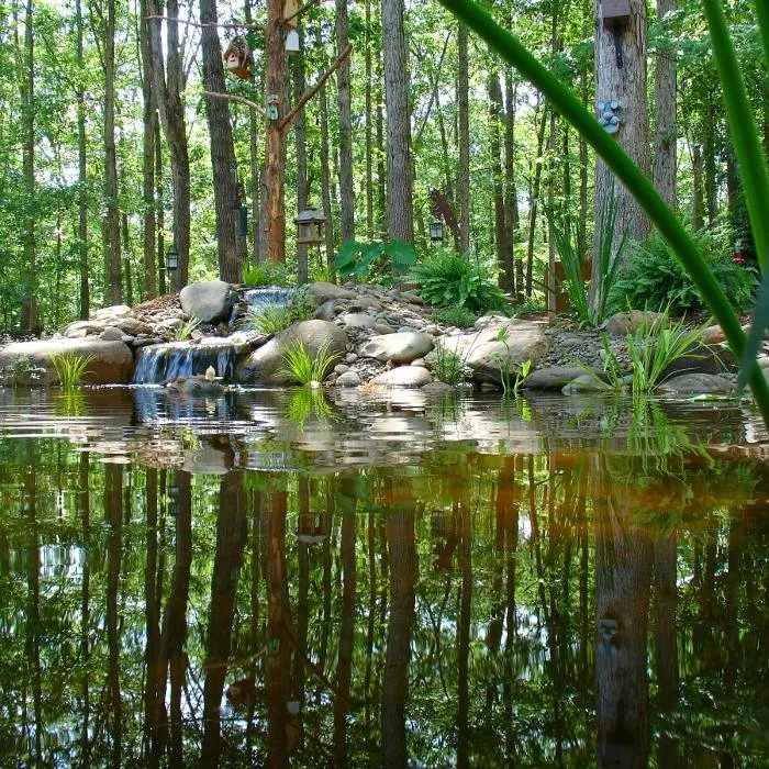 Expert residential landscaping for outdoor upgrades across Arnoldsville, GA - Andrew's Farm & Nursery