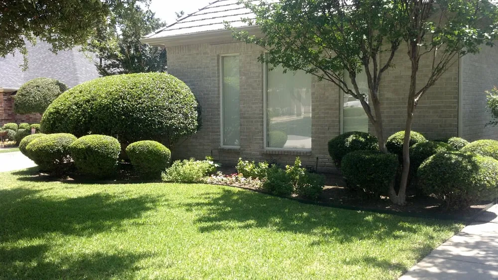 Reliable yard cleanup service experts serving Fort Worth, TX - Andrew's Landscape & Land Maintenance