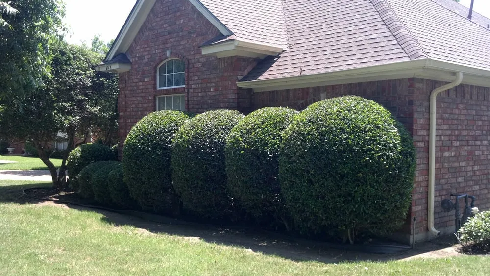Custom lawn care service in Fort Worth, TX - Andrew's Landscape & Land Maintenance