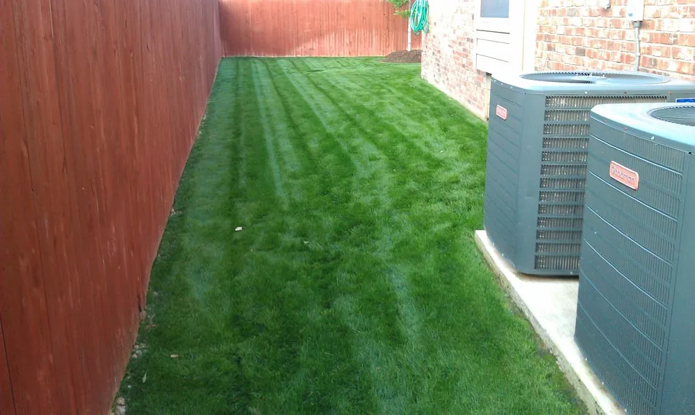 Reliable landscaping services for beautiful yards across Fort Worth, TX - Andrew's Landscape & Land Maintenance