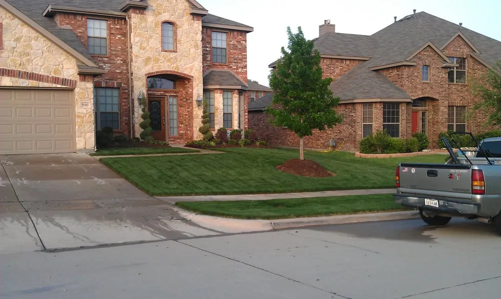 Top-rated yard cleanup service near you across Fort Worth, TX - Andrew's Landscape & Land Maintenance