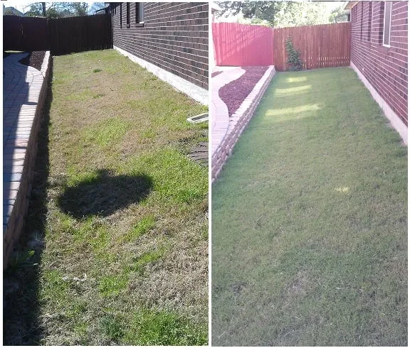 Local residential landscaping in Fort Worth, TX by Andrew's Landscape & Land Maintenance