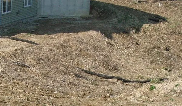 Affordable garden landscaping for beautiful yards across Thayer, IL - Andrews Landscapes Home and Garden Cente