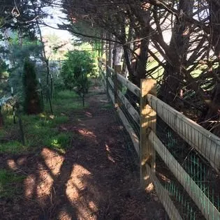 Custom outdoor landscaping in Georgetown, DE by Andrews Landscaping and Fence