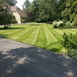 Custom landscaping services experts serving Georgetown, DE - Andrews Landscaping and Fence