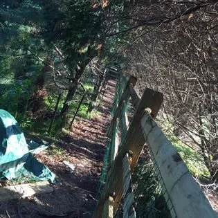 Top-rated residential landscaping for residential properties in Georgetown, DE by Andrews Landscaping and Fence