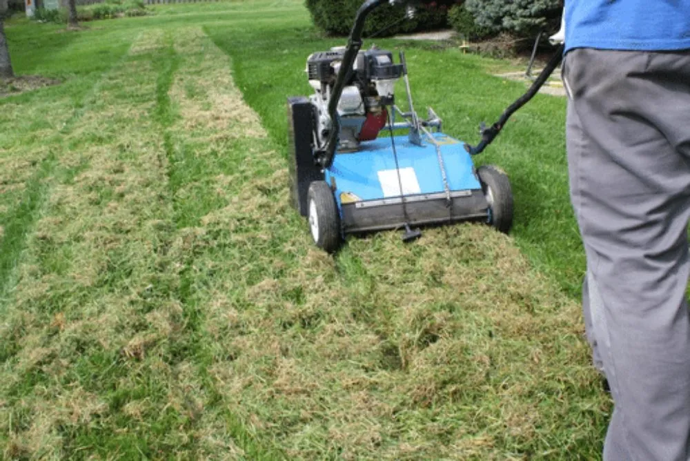 Affordable lawn mowing service in Riverton, UT by Andrew's Lawn Aeration