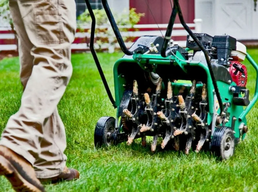 Trusted landscaping services experts serving Riverton, UT - Andrew's Lawn Aeration