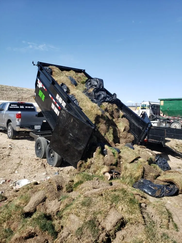 Expert outdoor landscaping in Riverton, UT - Andrew's Lawn Aeration