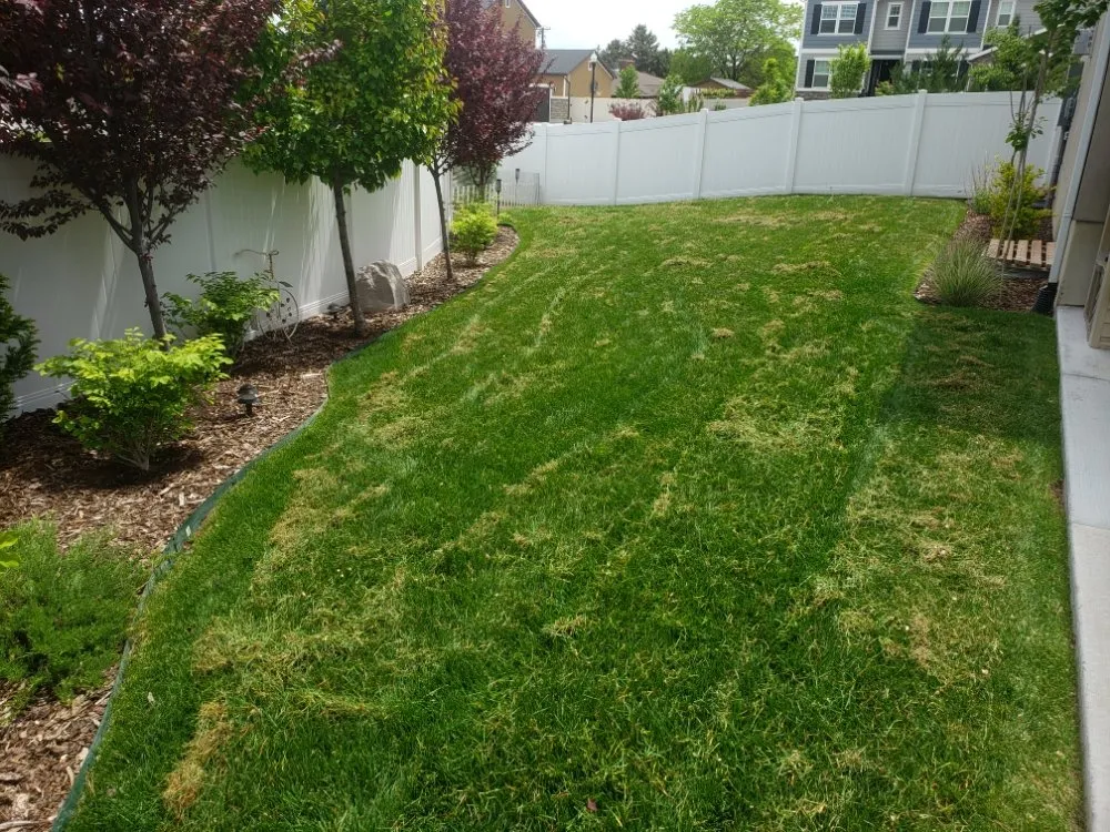 Top-rated yard maintenance for outdoor upgrades across Riverton, UT - Andrew's Lawn Aeration