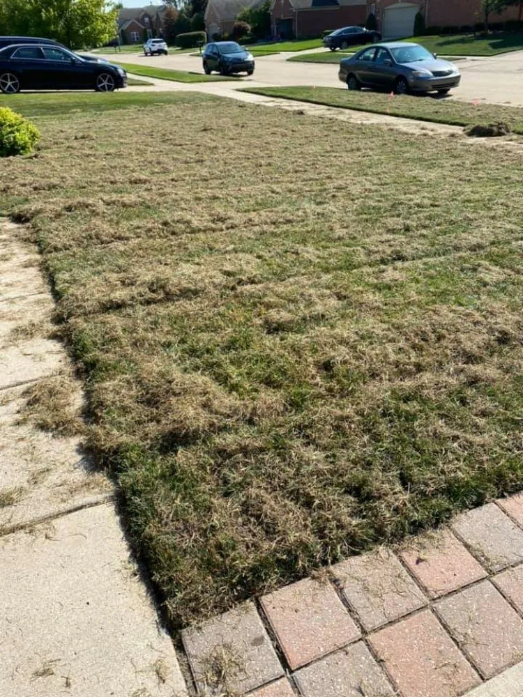 Reliable landscape installation for residential properties across Riverton, UT - Andrew's Lawn Aeration