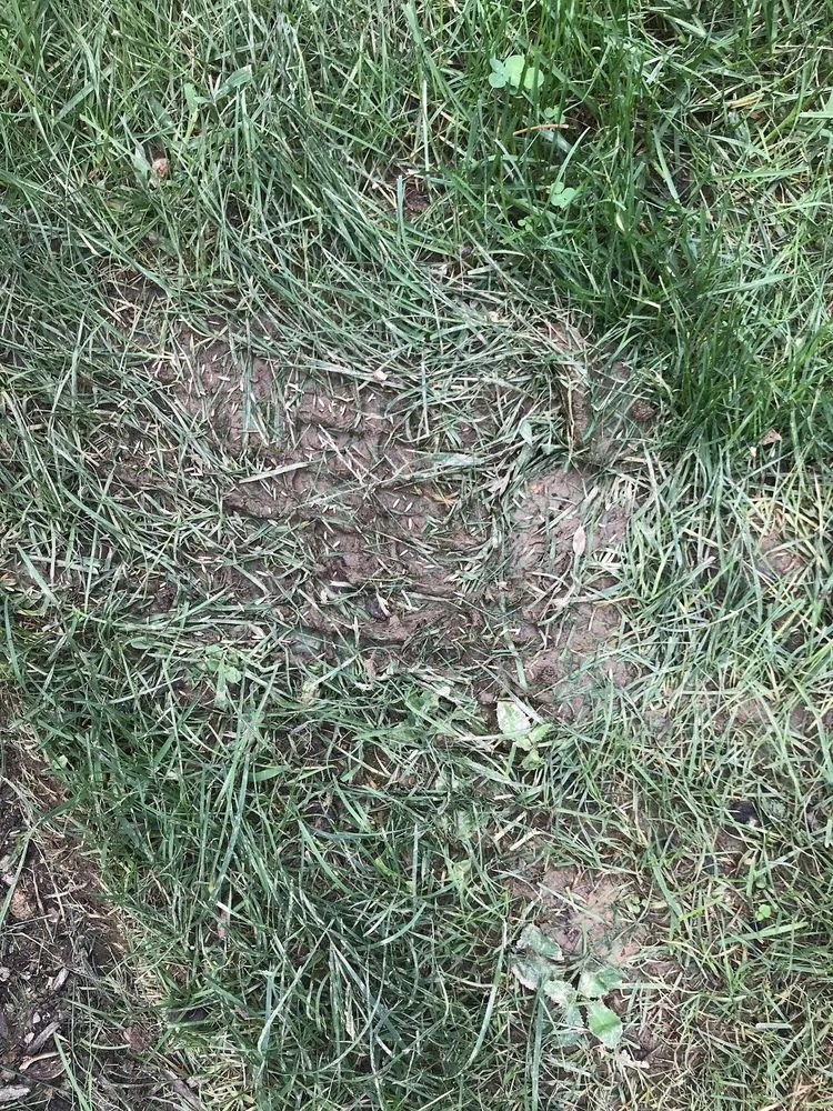 Custom outdoor landscaping experts serving West Chester, PA - Andrew's Lawn and Landscaping