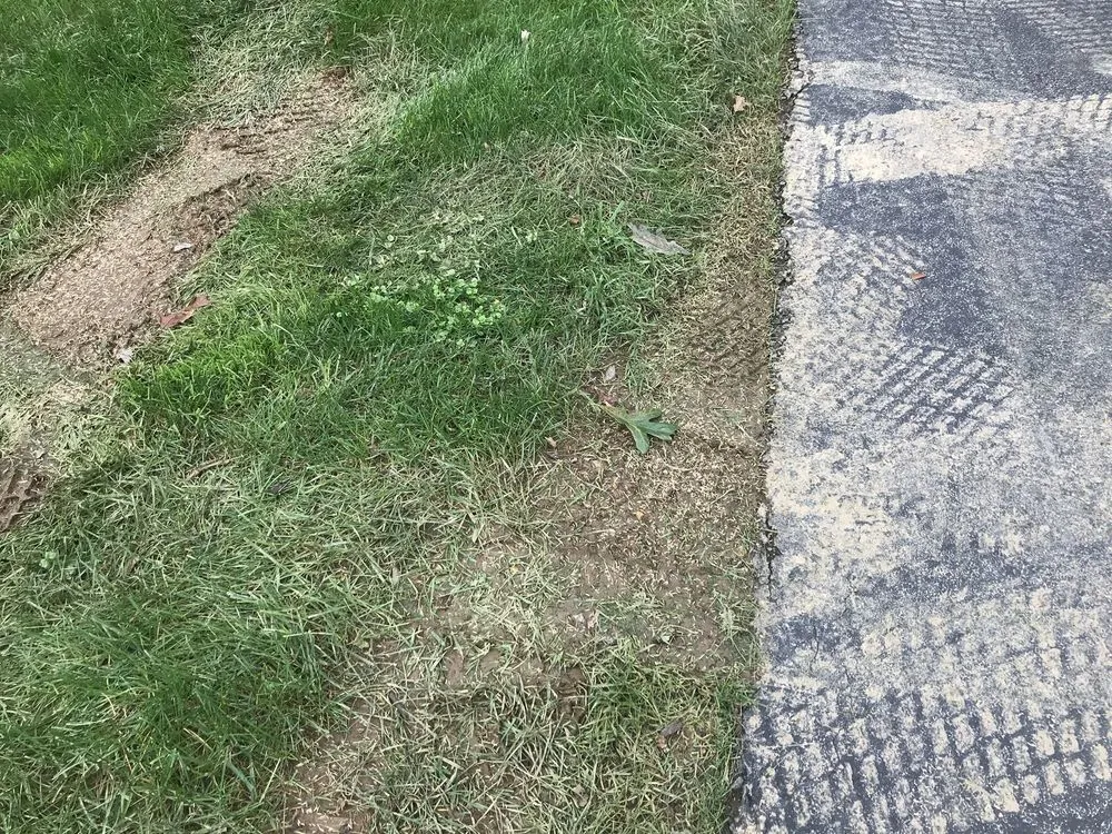 Professional lawn care service in West Chester, PA by Andrew's Lawn and Landscaping