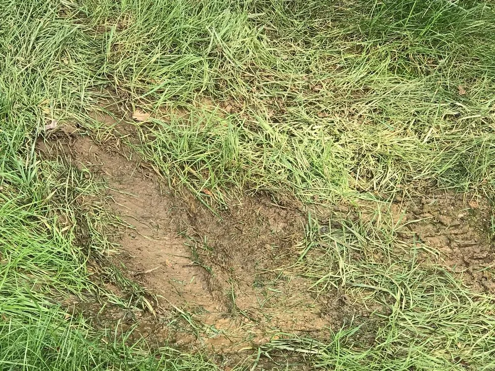 Professional lawn mowing service experts serving West Chester, PA - Andrew's Lawn and Landscaping