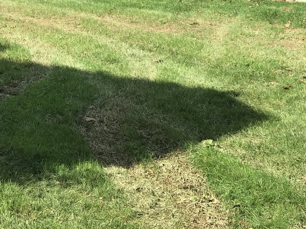 Professional yard cleanup service experts serving West Chester, PA - Andrew's Lawn and Landscaping