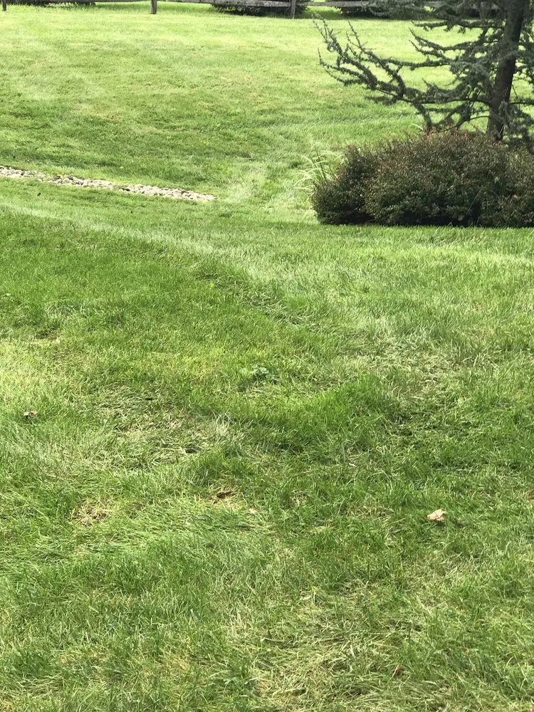 Top-rated landscaping services in West Chester, PA by Andrew's Lawn and Landscaping