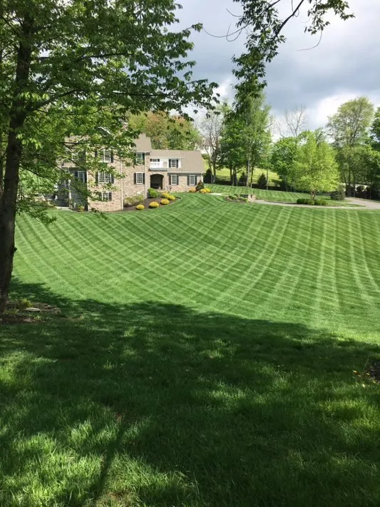Custom outdoor landscaping with custom design across West Chester, PA - Andrew's Lawn and Landscaping