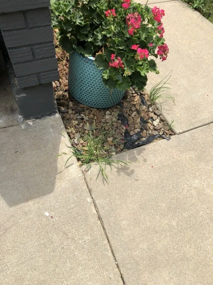 Professional lawn care service experts serving Denver, CO - Andrew’s Lawn and Snow