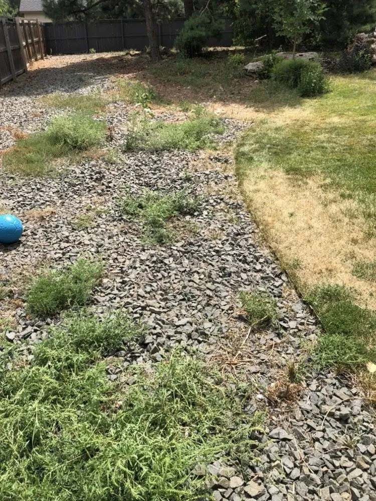 Trusted residential landscaping experts serving Denver, CO - Andrew’s Lawn and Snow