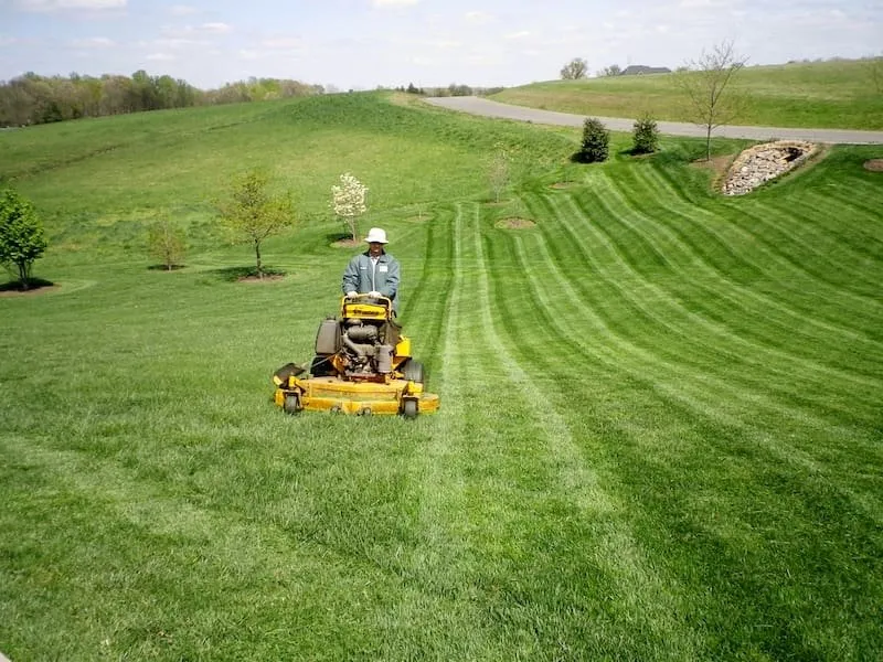 Expert landscaping services in Denver, CO - Andrew’s Lawn and Snow