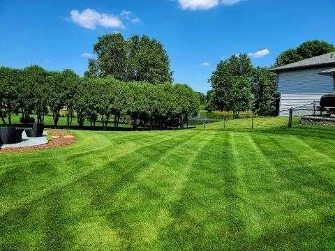 Top-rated lawn care service in Minneapolis, MN by Andrew's Lawn and Snow