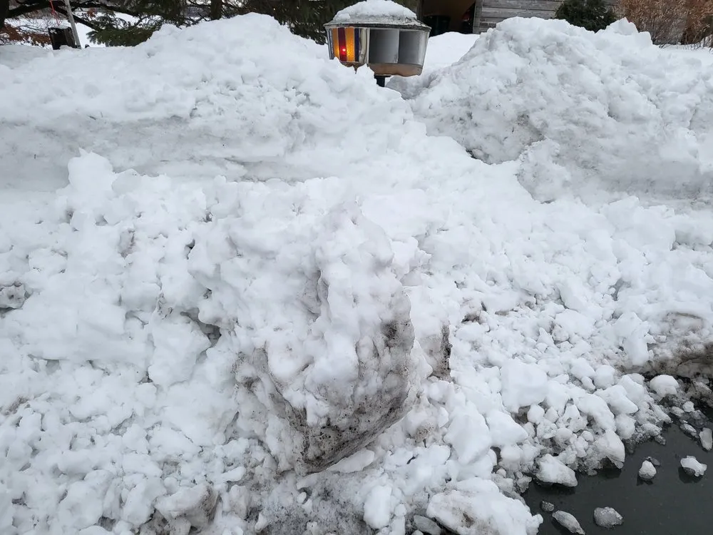 Professional lawn care service for year-round maintenance in Oak Brook, IL by Andrew's Lawn and Snow