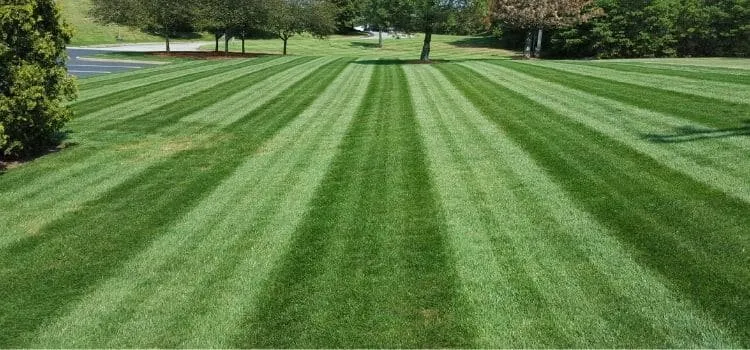 Local landscape installation experts serving Oak Brook, IL - Andrew's Lawn and Snow