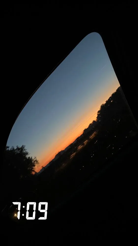 Professional yard cleanup service in Akron, OH by Andrews Lawn Care