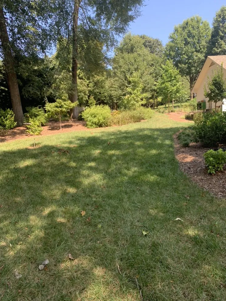 Top-rated landscape installation for outdoor upgrades across Spartanburg, SC - Andrew’s Lawn Care