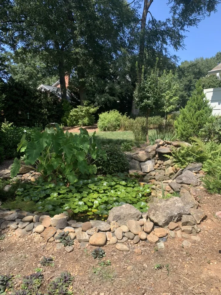 Affordable yard cleanup service in Spartanburg, SC - Andrew’s Lawn Care