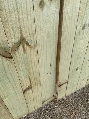 Andrew’s Lawn Care Logo