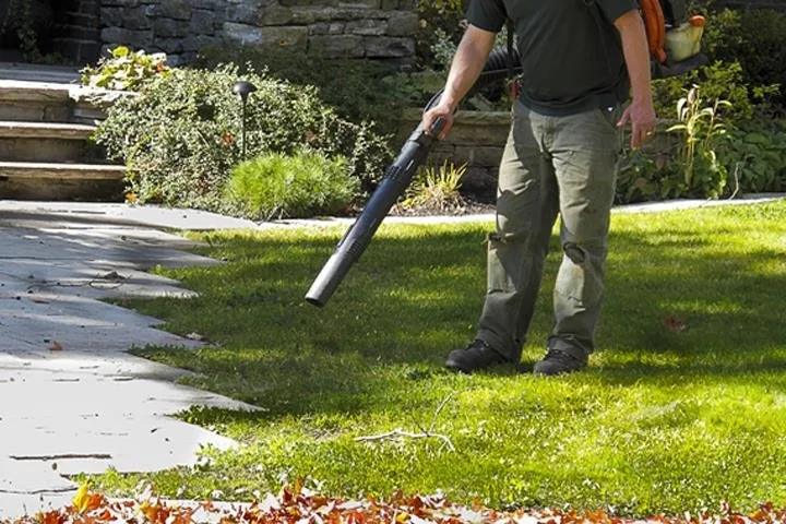 Expert lawn care service experts serving Oshkosh, WI - Andrew's Lawn Maintenance & Snow Removal