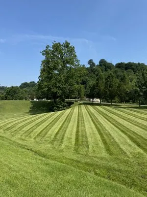 Andrew's Lawn Maintenance