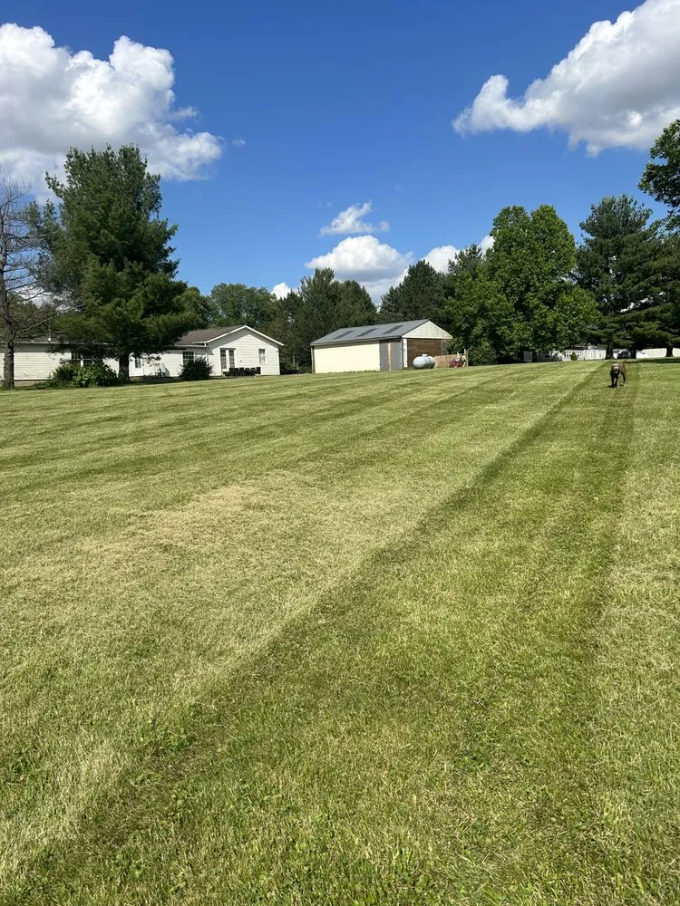Professional yard cleanup service with custom design across Wilmington, OH - Andrew’s lawncare