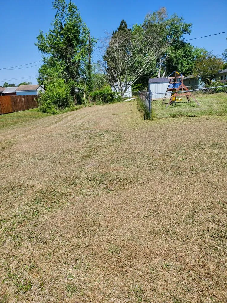 Custom landscape installation in New Bern, NC by Andrews Logistics