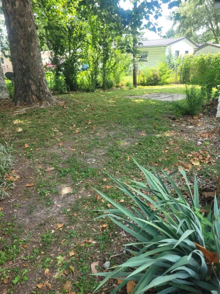 Professional lawn care service experts serving Kokomo, IN - Andrew's Mowing Landscaping and More