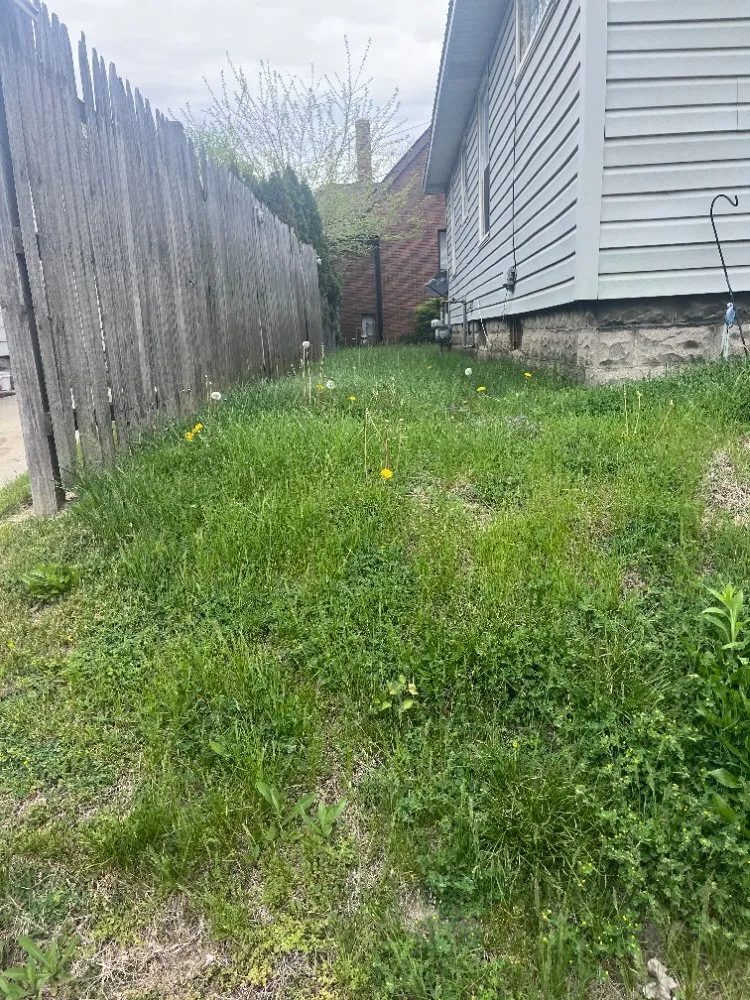 Trusted yard maintenance in Kokomo, IN - Andrew's Mowing Landscaping and More