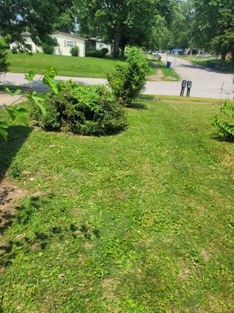 Trusted yard maintenance in Kokomo, IN by Andrew's Mowing Landscaping and More